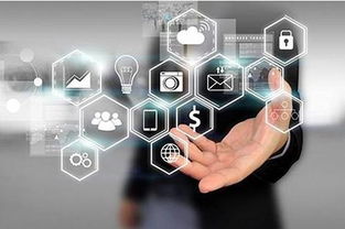 店火火营销新格局 网络技术服务赋能实体商业